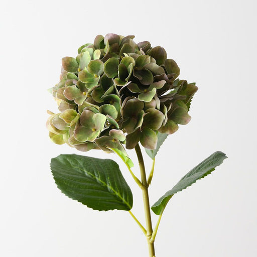 Artificial Hydrangea 63cm Green Brown - Pack of 12 - FLORA DESIGNS