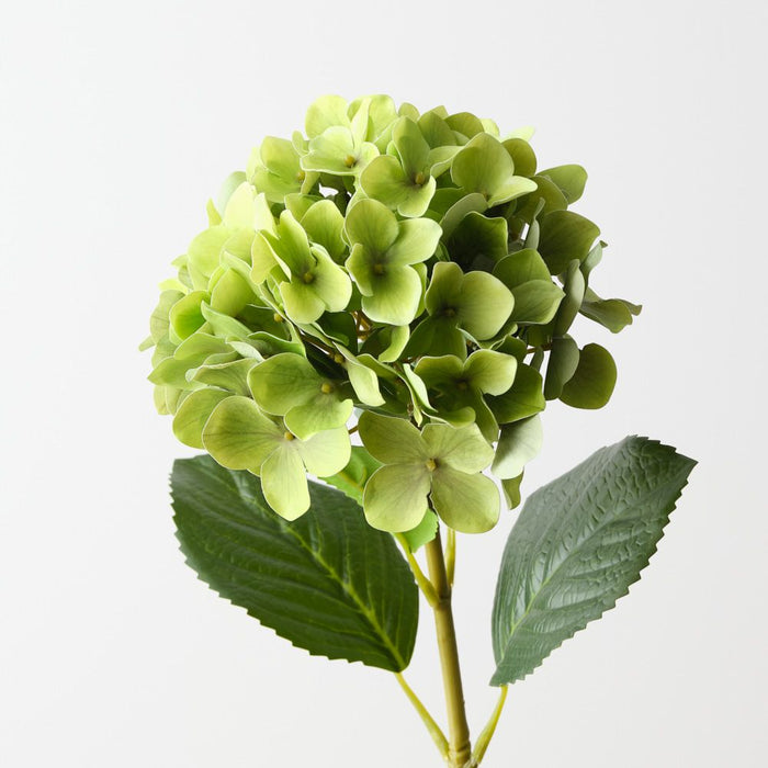 Artificial Hydrangea 63cm Green - Pack of 12 - FLORA DESIGNS