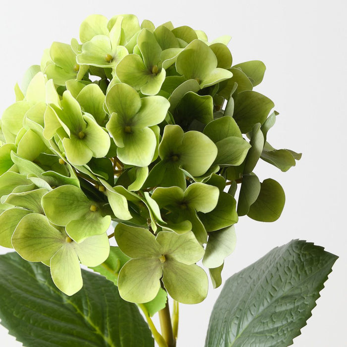 Artificial Hydrangea 63cm Green - Pack of 12 - FLORA DESIGNS