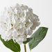 Artificial Hydrangea 63cm White - Pack of 12 - FLORA DESIGNS