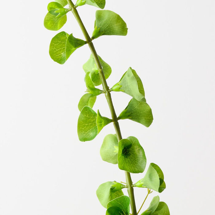 Artificial Bell of Ireland 94cm Green - FLORA DESIGNS