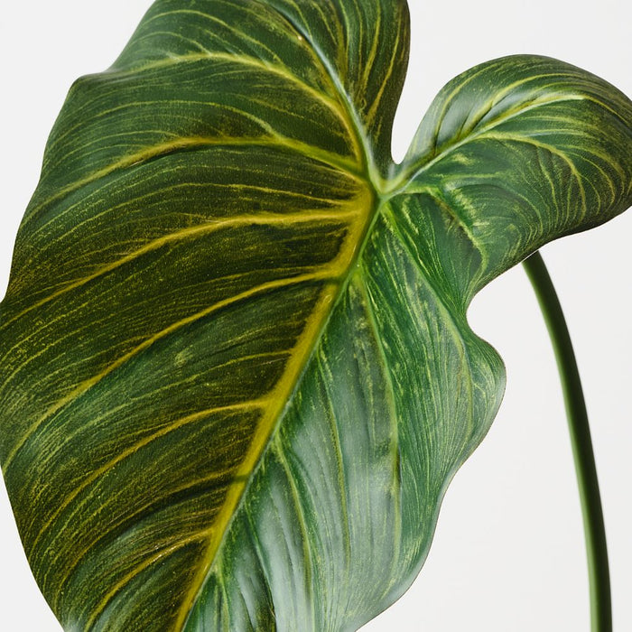 Artificial Taro Leaf 61cm Green - Pack of 12 - FLORA DESIGNS