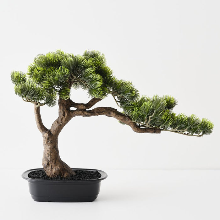 Artificial Japanese Pine Bonsai 38cm Green - FLORA DESIGNS