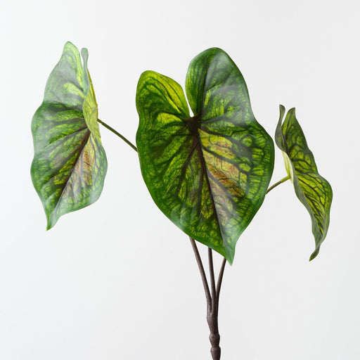 Artificial Caladium Leaf Bush 48cm Green Eggplant - Pack of 6 - FLORA DESIGNS