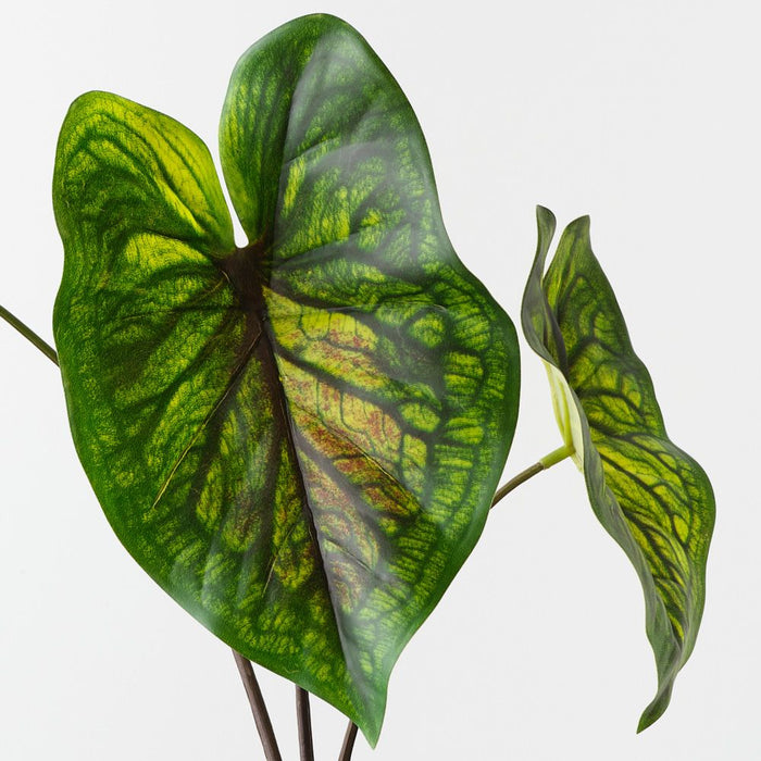 Artificial Caladium Leaf Bush 48cm Green Eggplant - Pack of 6 - FLORA DESIGNS