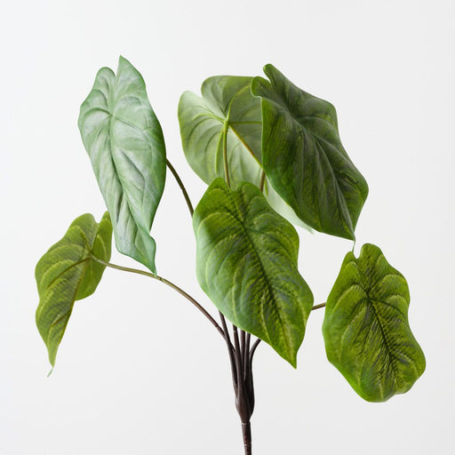 Artificial Caladium Leaf Bush 36cm Green - Pack of 6 - FLORA DESIGNS