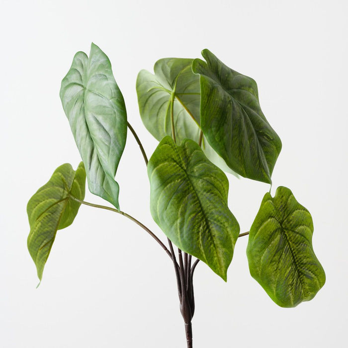 Artificial Caladium Leaf Bush 36cm Green - Pack of 6 - FLORA DESIGNS