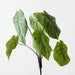 Artificial Caladium Leaf Bush 36cm Green - Pack of 6 - FLORA DESIGNS