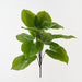 Artificial Spathiphyllum Leaf Bush 55cm Green - Pack of 6 - FLORA DESIGNS