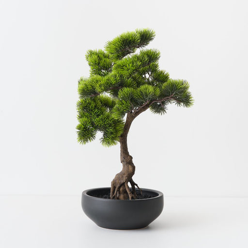Artificial Japanese Pine Bonsai 50cm Green - FLORA DESIGNS