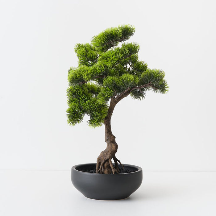 Artificial Japanese Pine Bonsai 50cm Green - FLORA DESIGNS