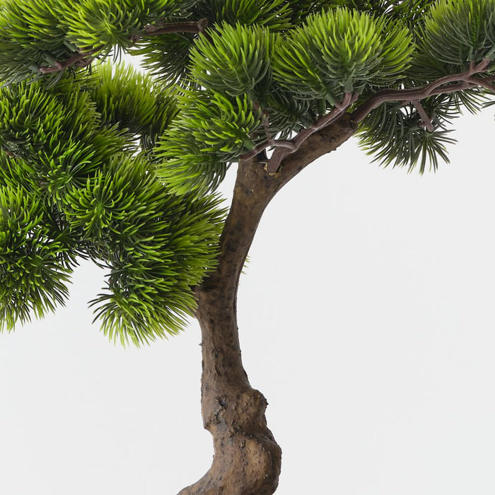 Artificial Japanese Pine Bonsai 50cm Green - FLORA DESIGNS