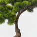 Artificial Japanese Pine Bonsai 50cm Green - FLORA DESIGNS