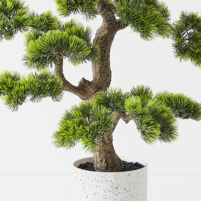 Artificial Japanese Pine Bonsai 66cm Green - FLORA DESIGNS