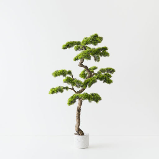 Artificial Japanese Pine Bonsai 106cm Green - FLORA DESIGNS