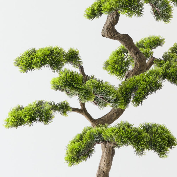 Artificial Japanese Pine Bonsai 106cm Green - FLORA DESIGNS