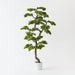 Artificial Japanese Pine Bonsai 132cm Green - FLORA DESIGNS