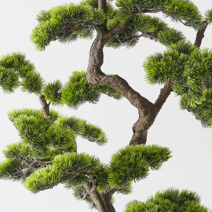 Artificial Japanese Pine Bonsai 132cm Green - FLORA DESIGNS