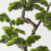 Artificial Japanese Pine Bonsai 132cm Green - FLORA DESIGNS