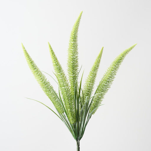 Artificial Foxtail Fern Bush 50cm Green - Pack of 12 - FLORA DESIGNS