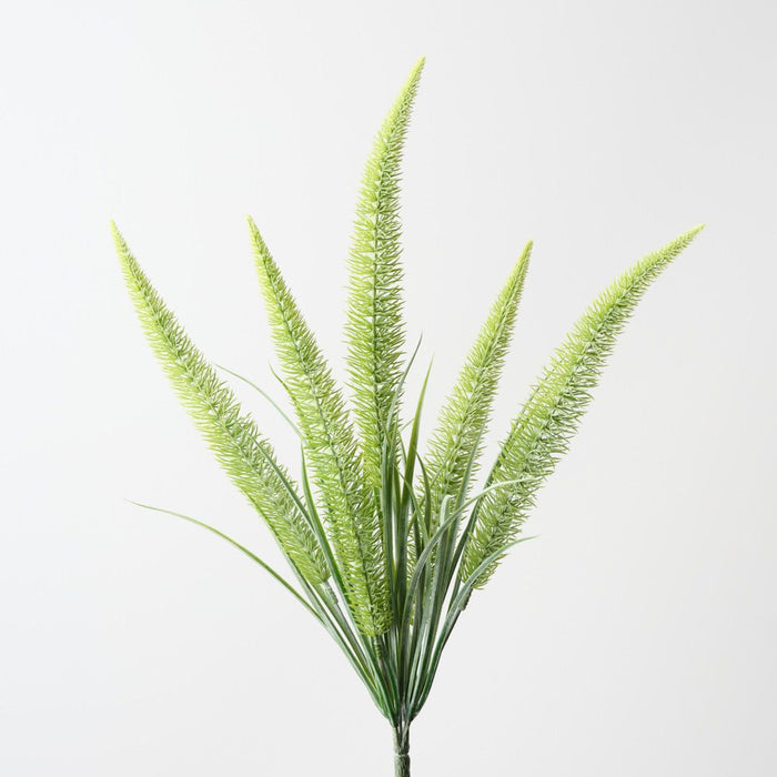 Artificial Foxtail Fern Bush 50cm Green - Pack of 12 - FLORA DESIGNS