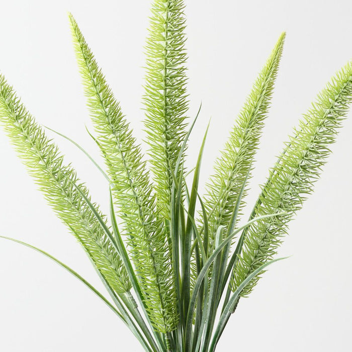 Artificial Foxtail Fern Bush 50cm Green - Pack of 12 - FLORA DESIGNS