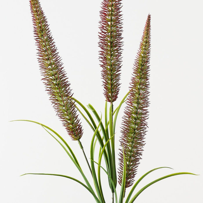 Artificial Foxtail Fern Spray 89cm Burgundy Green - Pack of 12 - FLORA DESIGNS