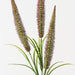 Artificial Foxtail Fern Spray 89cm Burgundy Green - Pack of 12 - FLORA DESIGNS
