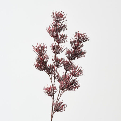 Artificial Thistle Spray 80cm Burgundy - Pack of 12 - FLORA DESIGNS