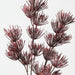 Artificial Thistle Spray 80cm Burgundy - Pack of 12 - FLORA DESIGNS