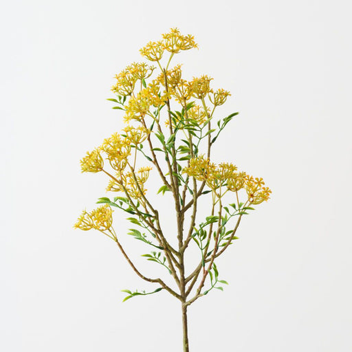 Artificial Osmanthus Spray 76cm Yellow Green - Pack of 12 - FLORA DESIGNS