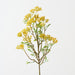 Artificial Osmanthus Spray 76cm Yellow Green - Pack of 12 - FLORA DESIGNS