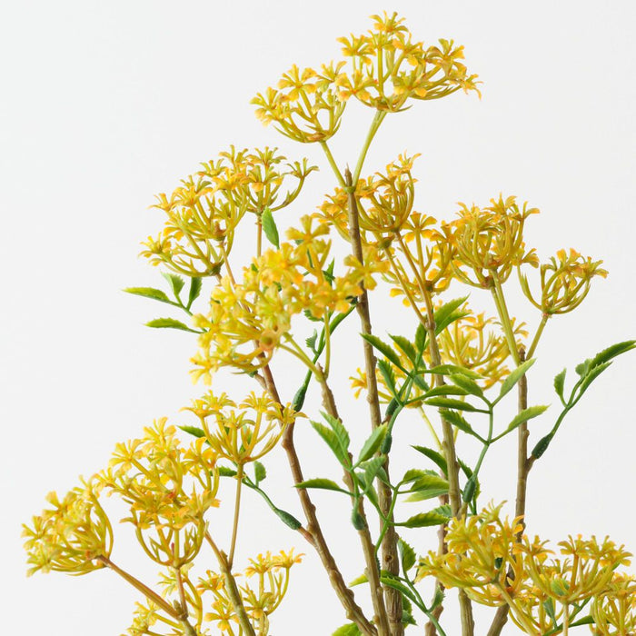 Artificial Osmanthus Spray 76cm Yellow Green - Pack of 12 - FLORA DESIGNS