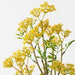 Artificial Osmanthus Spray 76cm Yellow Green - Pack of 12 - FLORA DESIGNS