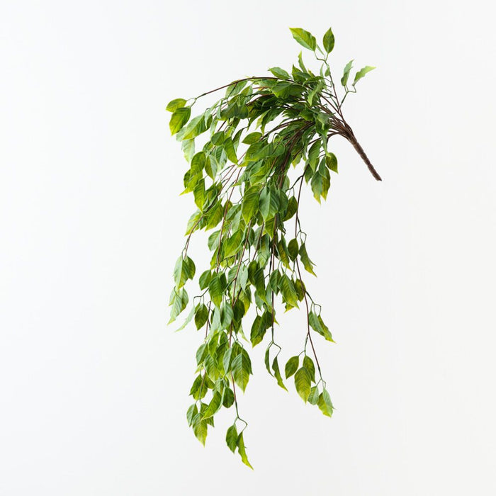 Artificial Ficus Leaf Hanging Bush 79cm Green - Pack of 6 - FLORA DESIGNS