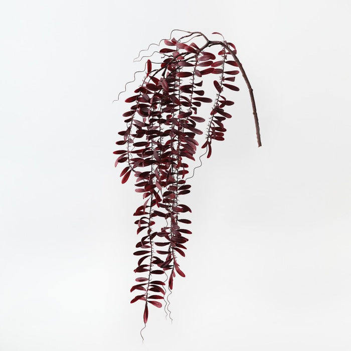Artificial Acacia Leaf Hanging Bush 115cm Burgundy - Pack of 12 - FLORA DESIGNS