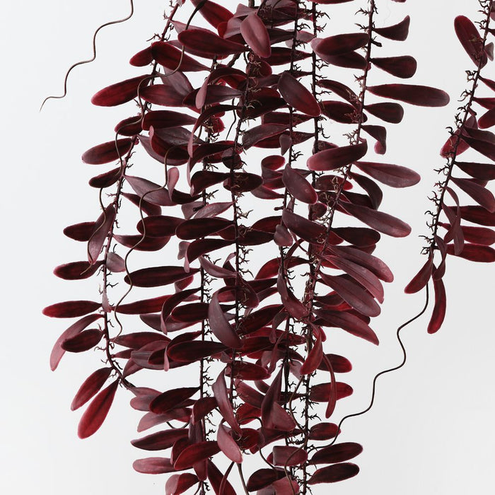 Artificial Acacia Leaf Hanging Bush 115cm Burgundy - Pack of 12 - FLORA DESIGNS