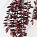 Artificial Acacia Leaf Hanging Bush 115cm Burgundy - Pack of 12 - FLORA DESIGNS