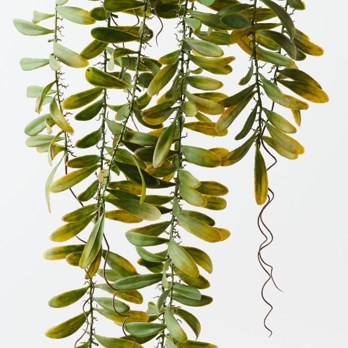 Artificial Acacia Leaf Hanging Bush 115cm Green - Pack of 12 - FLORA DESIGNS
