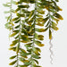 Artificial Acacia Leaf Hanging Bush 115cm Green - Pack of 12 - FLORA DESIGNS