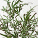Artificial Brake Fern Hanging Bush 69cm Green Burgundy - Pack of 6 - FLORA DESIGNS