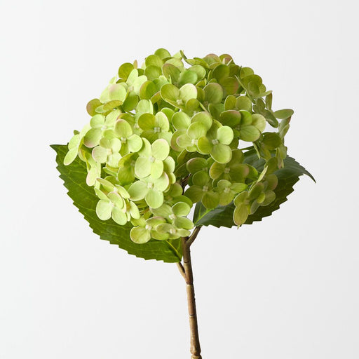 Artificial Hydrangea 44cm Green - Pack of 12 - FLORA DESIGNS