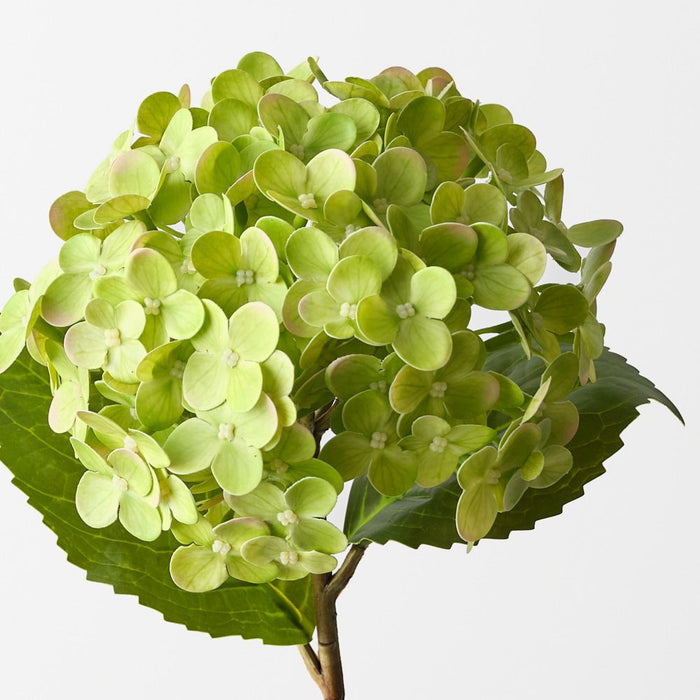 Artificial Hydrangea 44cm Green - Pack of 12 - FLORA DESIGNS