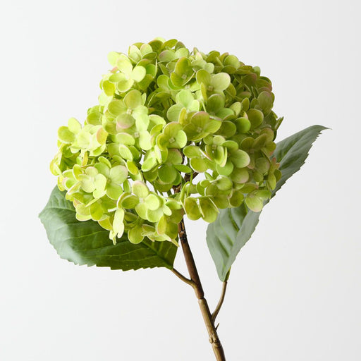 Artificial Hydrangea 56cm Green - Pack of 12 - FLORA DESIGNS