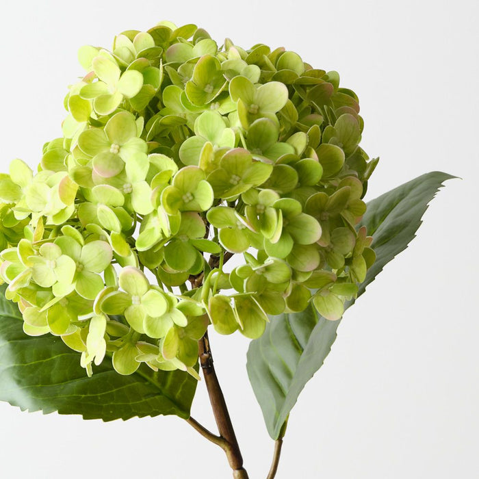 Artificial Hydrangea 56cm Green - Pack of 12 - FLORA DESIGNS
