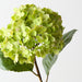 Artificial Hydrangea 56cm Green - Pack of 12 - FLORA DESIGNS