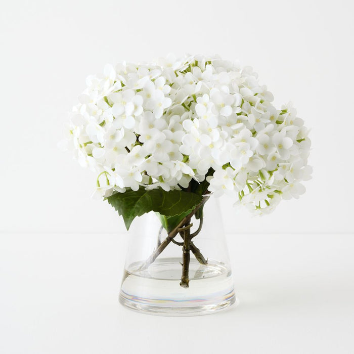 Hydrangea in Vase 26cm White - FLORA DESIGNS