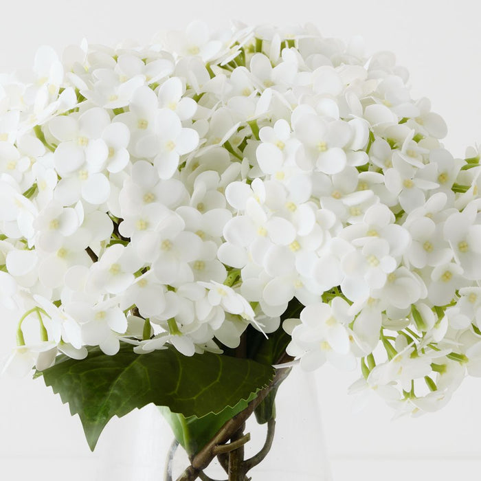 Hydrangea in Vase 26cm White - FLORA DESIGNS