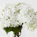 Hydrangea in Vase 26cm White - FLORA DESIGNS