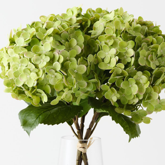 Hydrangea in Vase 38cm Green - FLORA DESIGNS